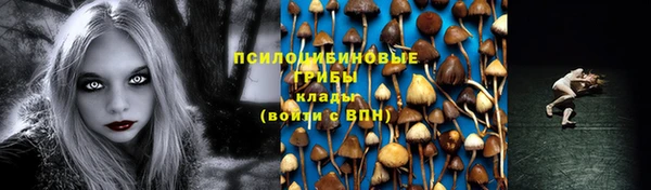ешки Медногорск