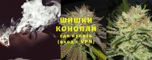 ешки Медногорск