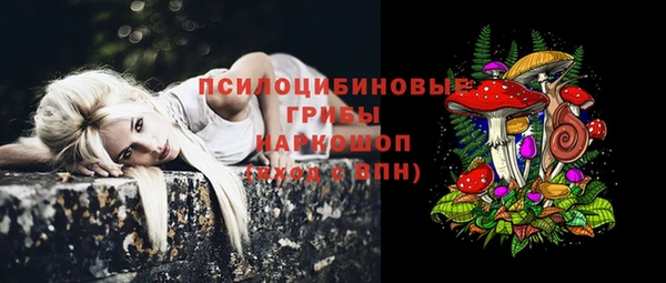 герыч Медвежьегорск