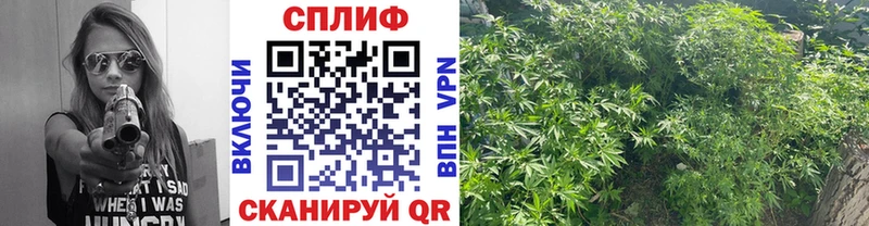 Бошки Шишки ГИДРОПОН  MEGA зеркало  Тарко-Сале 