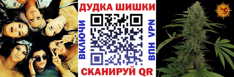 Конопля гибрид Тарко-Сале